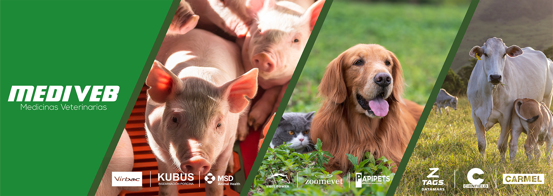 Banner grupo Mediveb