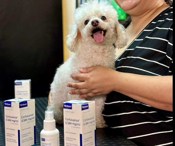 Testimonio mascota usando Cortavance