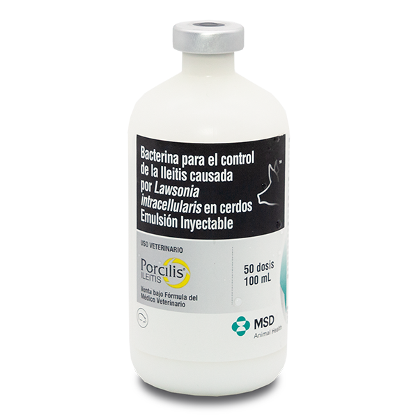 Vacuna Porcilis Ileitis de MSD