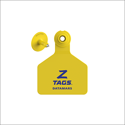 Aretes para ganado Z tags