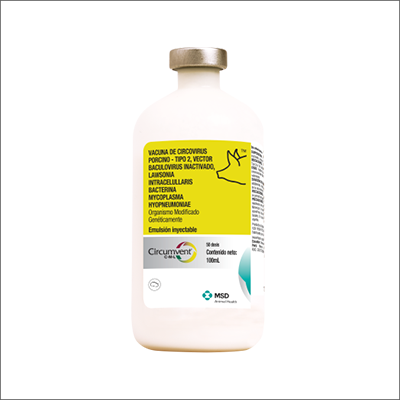 Vacuna para Cerdos de MSD